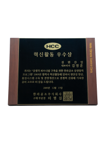 Excellence Award for Innovation Activities